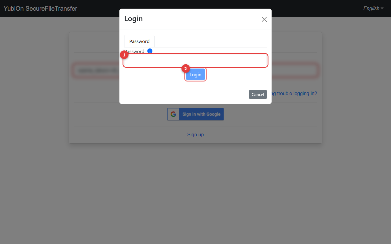 Password Input Modal